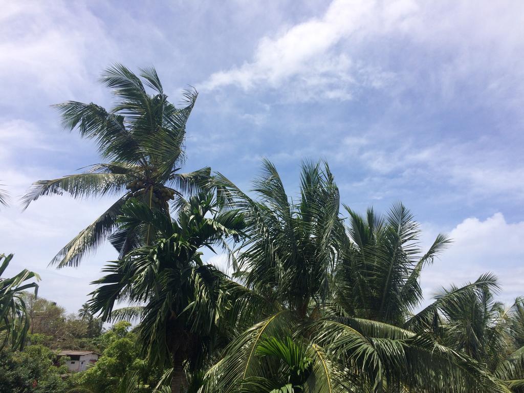 Hansa Villa Unawatuna Luaran gambar